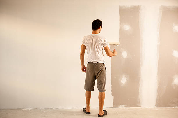 Best Eco-Friendly and Low-VOC Painting  in Lakemore, OH